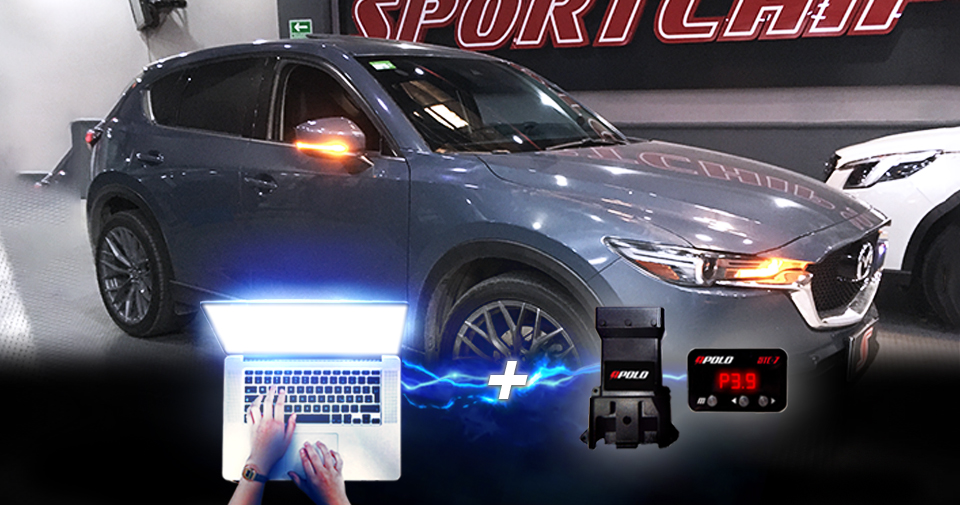 Sportchips Pro Slider 2